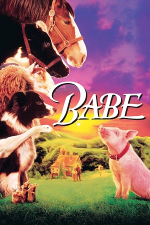 Xem phim Babe: Chú Heo Chăn Cừu