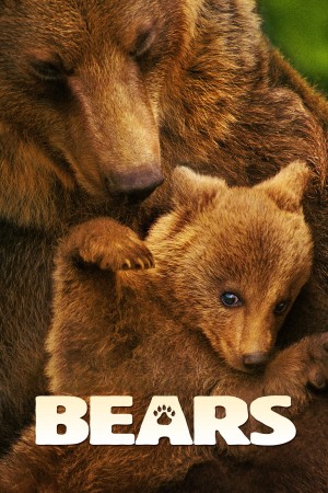 Xem phim Bears