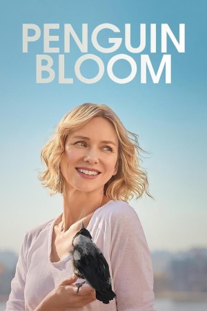Xem phim Cánh Cụt Nhà Bloom