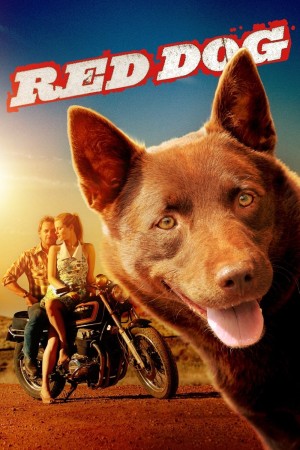 Xem phim Chú Chó Đỏ