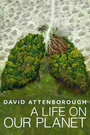 Xem phim David Attenborough: Một Cuộc Đời Trên Trái Đất