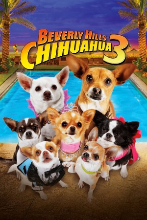 Xem phim Những Chú Chó Chihuahua 3